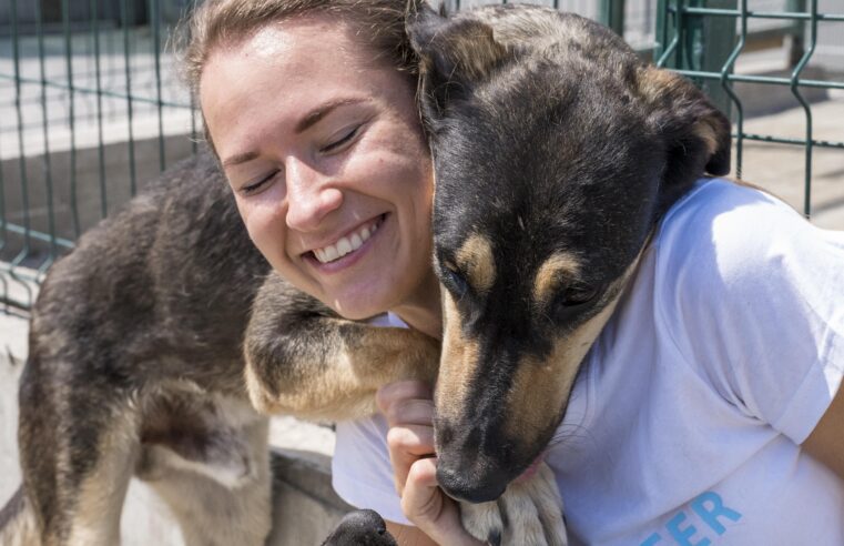 NESTE SÁBADO: FEIRA DE ADOÇÃO PET NO ITAQUÁ PARK SHOPPING