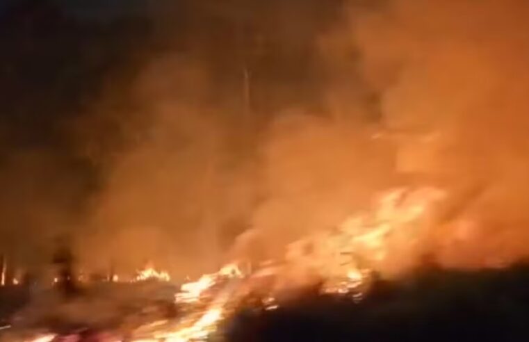 ALTO TIETÊ REGISTRA 55 INCÊNDIOS EM ÁREA DE MATA NA ÚLTIMA SEXTA-FEIRA