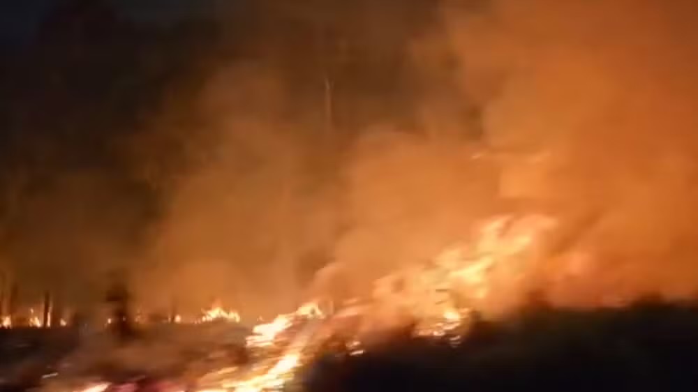 ALTO TIETÊ REGISTRA 55 INCÊNDIOS EM ÁREA DE MATA NA ÚLTIMA SEXTA-FEIRA