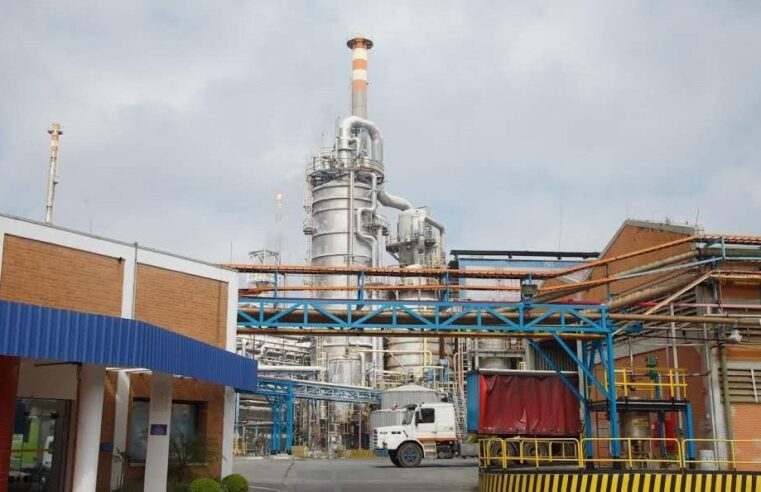 SUZANO ABRE INSCRIÇÕES PARA PROGRAMA DE ESTÁGIO TÉCNICO 2025