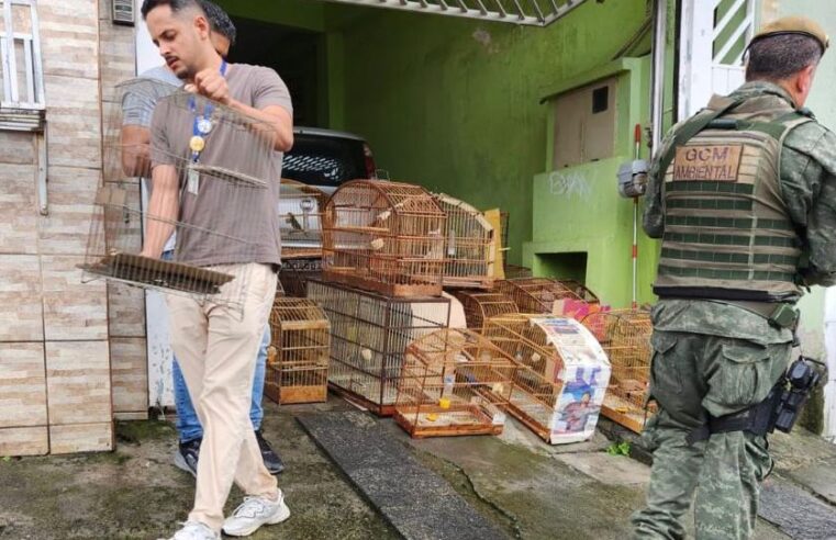 GUARDA AMBIENTAL RESGATA 46 PÁSSAROS SILVESTRES EM CATIVEIRO EM ITAQUÁ