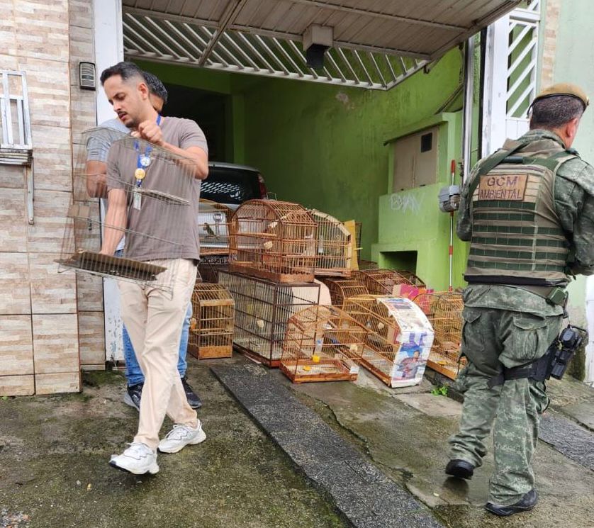 GUARDA AMBIENTAL RESGATA 46 PÁSSAROS SILVESTRES EM CATIVEIRO EM ITAQUÁ