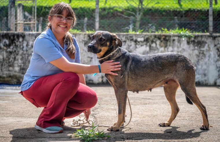 PREFEITURA DE GUARAREMA TRAZ ORIENTAÇÕES SOBRE OS CUIDADOS COM CÃES E GATOS NO FRIO