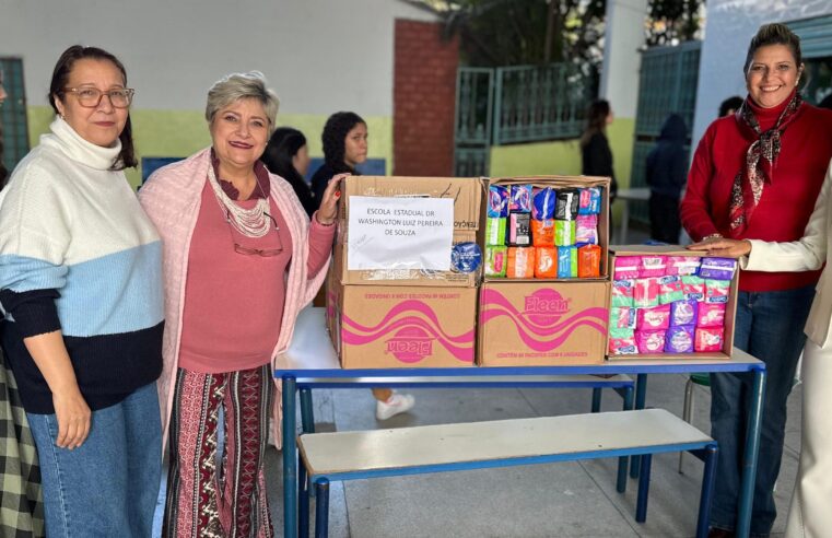 FUNDO SOCIAL DE ARUJÁ DOA MAIS DE 26 MIL ABSORVENTES PARA ESCOLAS ESTADUAIS