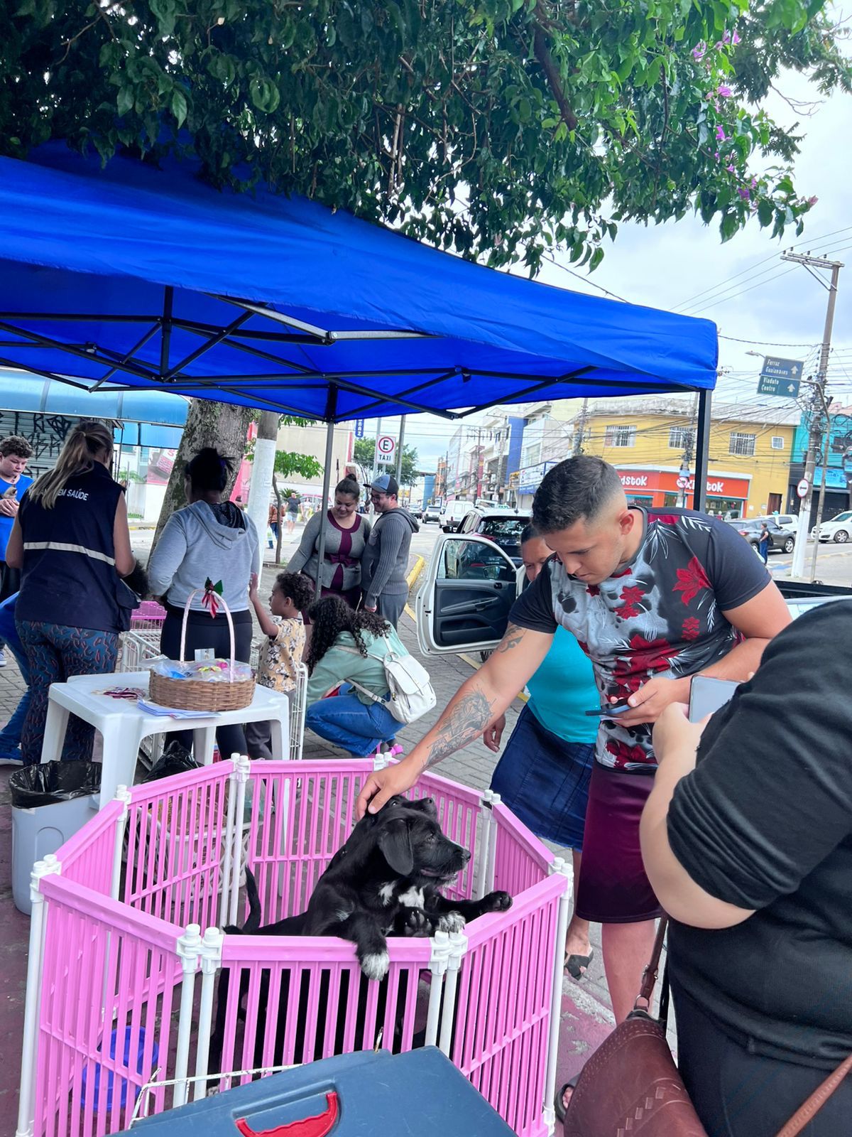 POÁ PROMOVE VACINAÇÃO ANTIRRÁBICA E ADOÇÃO RESPONSÁVEL NO CENTRO