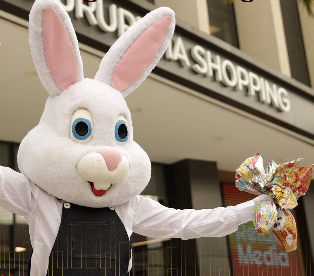 CAÇA AOS OVOS DE PÁSCOA TERÁ PROGRAMAÇÃO GRATUITA EM MOGI