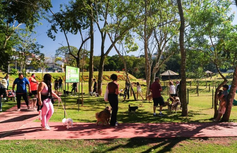 ARUJÁ ABRE INSCRIÇÕES PARA 2º AULÃO GRATUITO DE ADESTRAMENTO CANINO