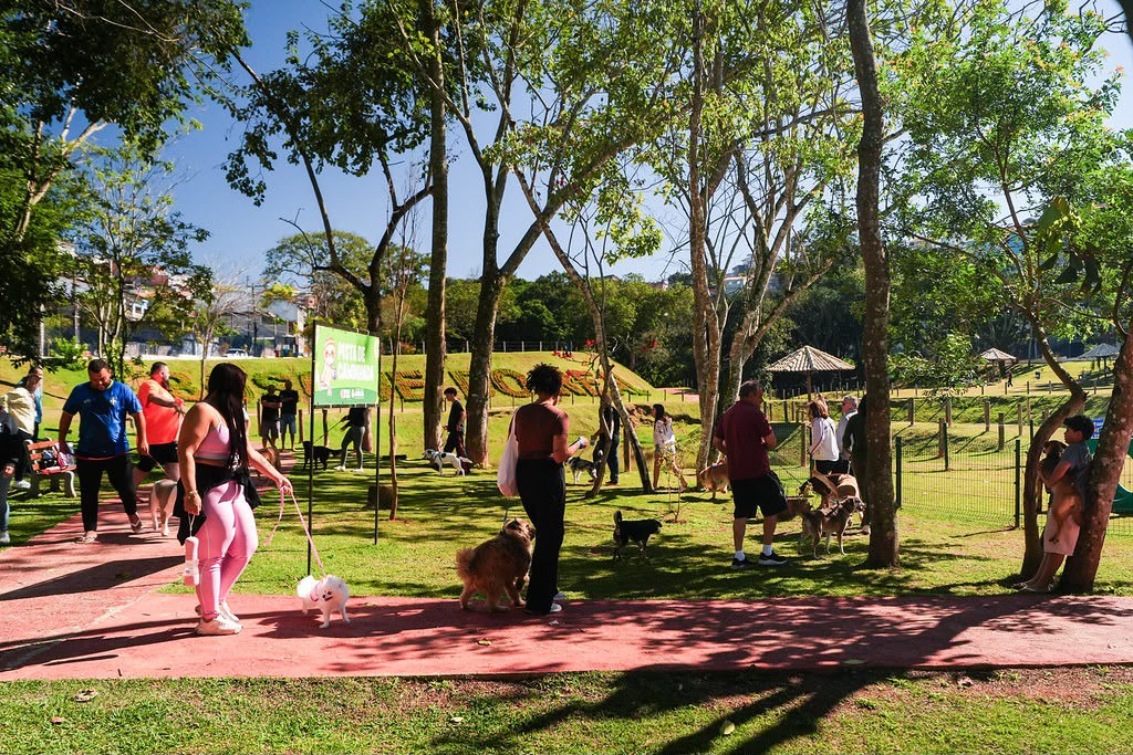 ARUJÁ ABRE INSCRIÇÕES PARA 2º AULÃO GRATUITO DE ADESTRAMENTO CANINO