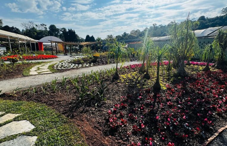PARQUE AFLORD É INAUGURADO EM ARUJÁ COM JARDIM PERMANENTE DE FLORES