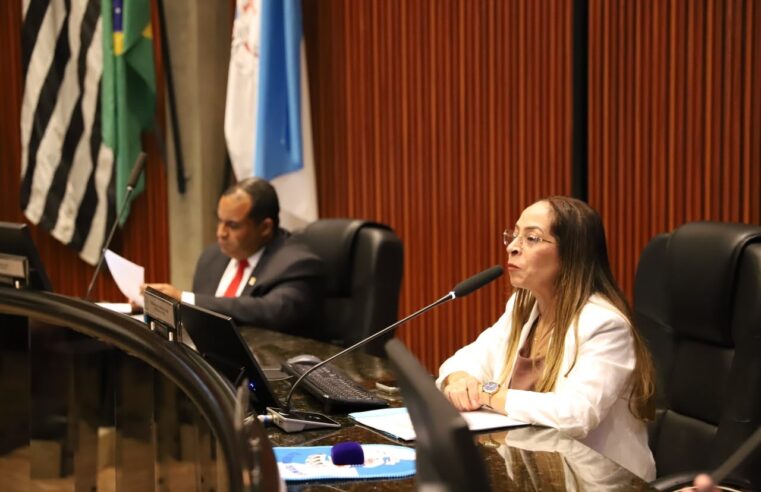 CÂMARA DE ARUJÁ APROVA MEDIDAS DE INCLUSÃO PARA ESTUDANTES COM TEA